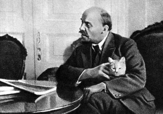 تويتر Photos Histoires على تويتر Lenine Et Son Chat A Son Bureau Du Kremlin Vers 19 Histoire Politique T Co Jy4ktmkkm6