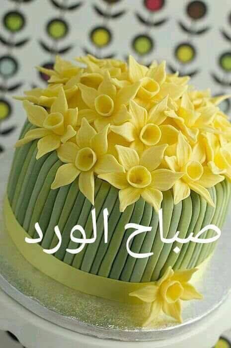 AhmadAlb24's tweet photo. https://t.co/IthHNnROKm