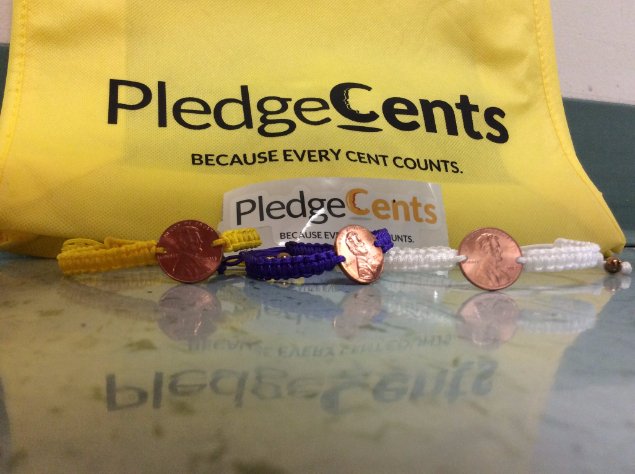 KimLPond's tweet image. One of my students wanted to highlight the @PledgeCents swag that we won during the #PCSpringFling contest.  She did a great job!