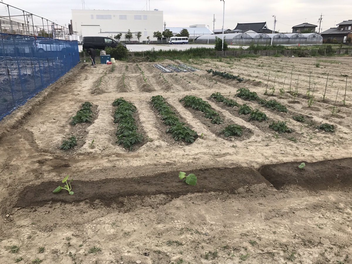 tram_farm's tweet photo. GWの成果 https://t.co/NcdXAWdncn