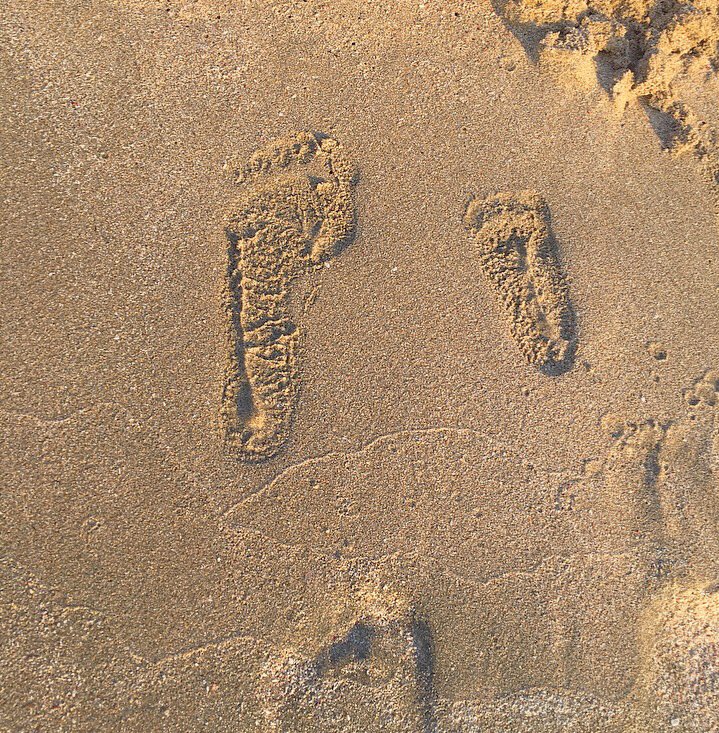 miichanvipaaa's tweet image. 昨日は今年初海行ってきた🌊🐠🌻🌞💗
#linkcode