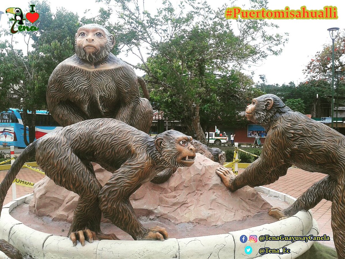 Tena_Ec's tweet photo. ♥Monos capuchinos #PtoMisahuallí" ♥🌿☘#Tenaguayusaycanela #Tenawayusaycanela #Tena #Napo🌳 #Tenense #Napense🌿#asiesmiTena #Ecuador #Amazonia🌿 https://t.co/Mqlxhf3qie