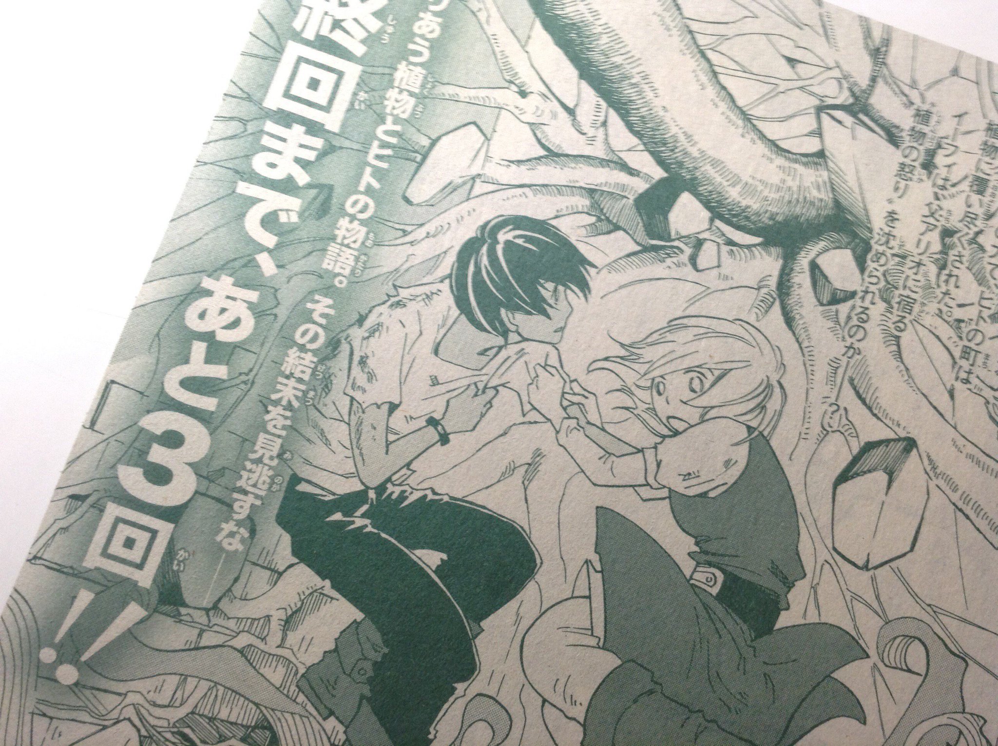 奈々巻かなこ 9 16神シャラ 配信 イーフィの植物図鑑 今月号から 最終回に向けての３話連続掲載です 原稿の方は２話までできました さすがに ちょっとだけお腹いっぱい へんな表現 になるほど植物描きました Gwのシメはぜひ本屋さんへ 本屋さん