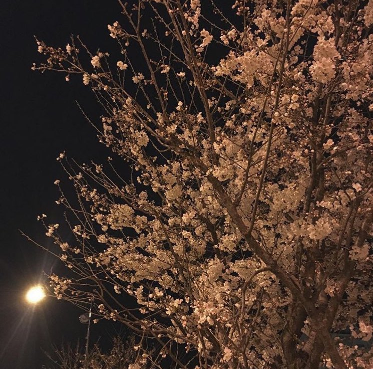 vly_vly(KOREA)❣ (@minja3644) on Twitter photo 