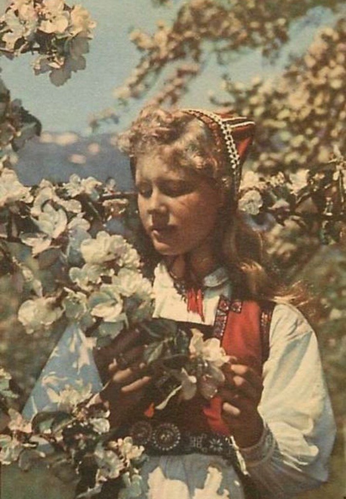 HardangerMusikk's tweet photo. Vi kom over nok et gammelt postkort fra Hardanger. #fruktblomstring #hardangerbunad https://t.co/kocLpZU4bp