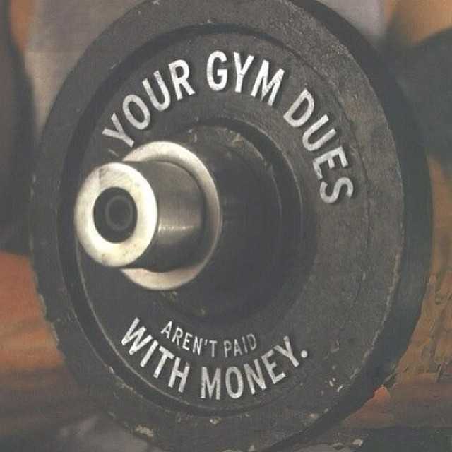 GymGuru101's tweet photo. https://t.co/QH6lmFPZ9Q