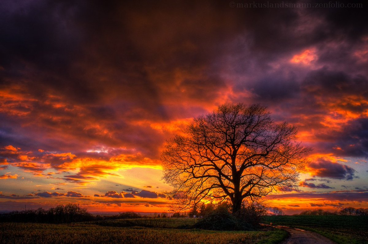 domenicangela22's tweet image. Nature Moments - Markus Landsmann

500px.com/photo/26428515…