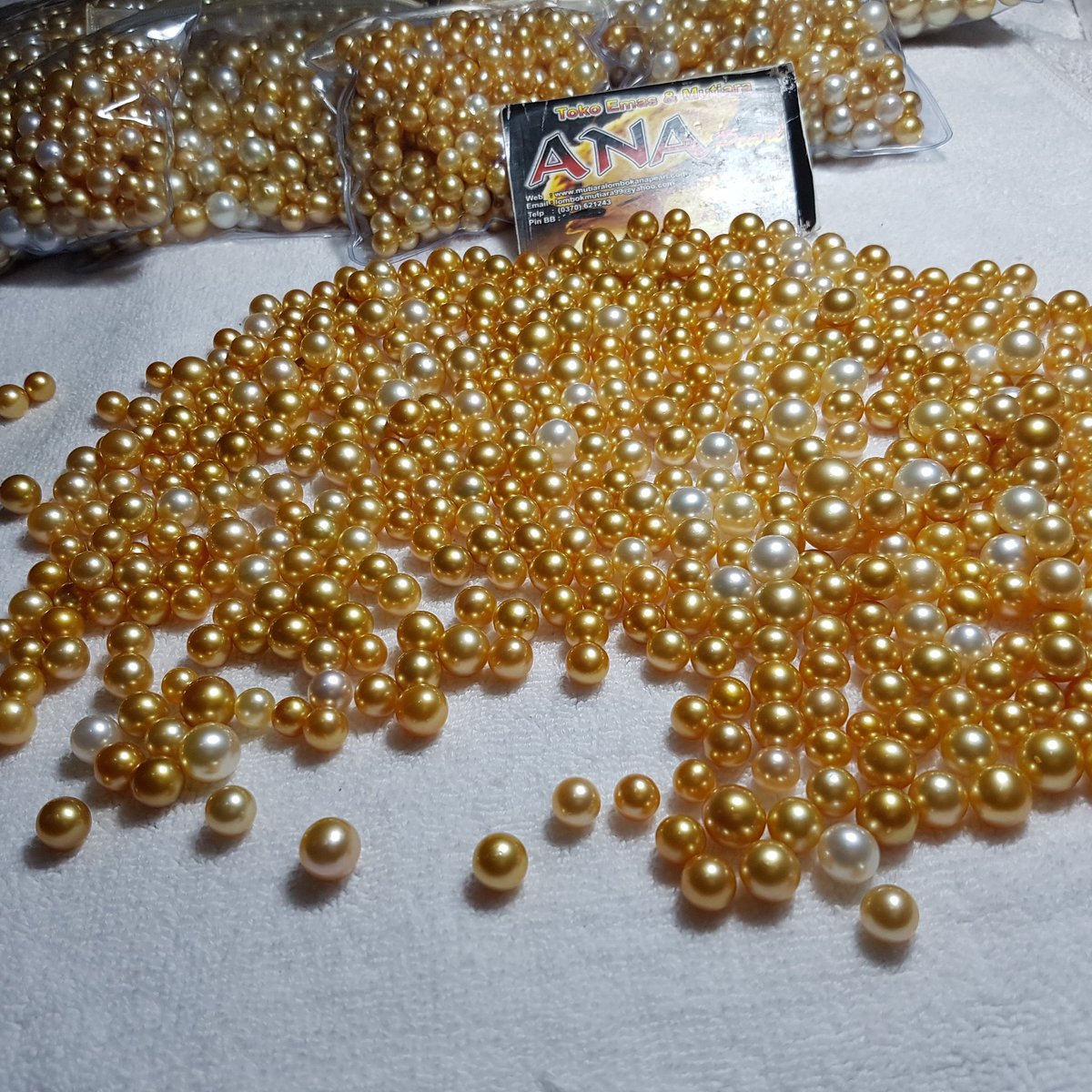 rodhy_scrab's tweet image. wholesale loose golden south sea pearls from indonesia lombok island

phone/whatsapp :  +6281803636077
wechat : rodhy_scrab