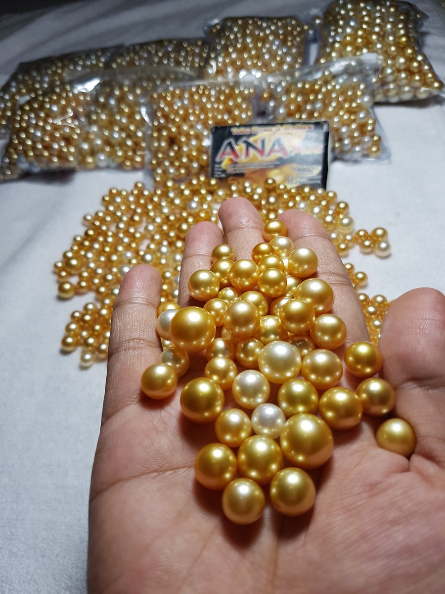 rodhy_scrab's tweet image. Zhēnzhū 

wholesale golden south sea pearls