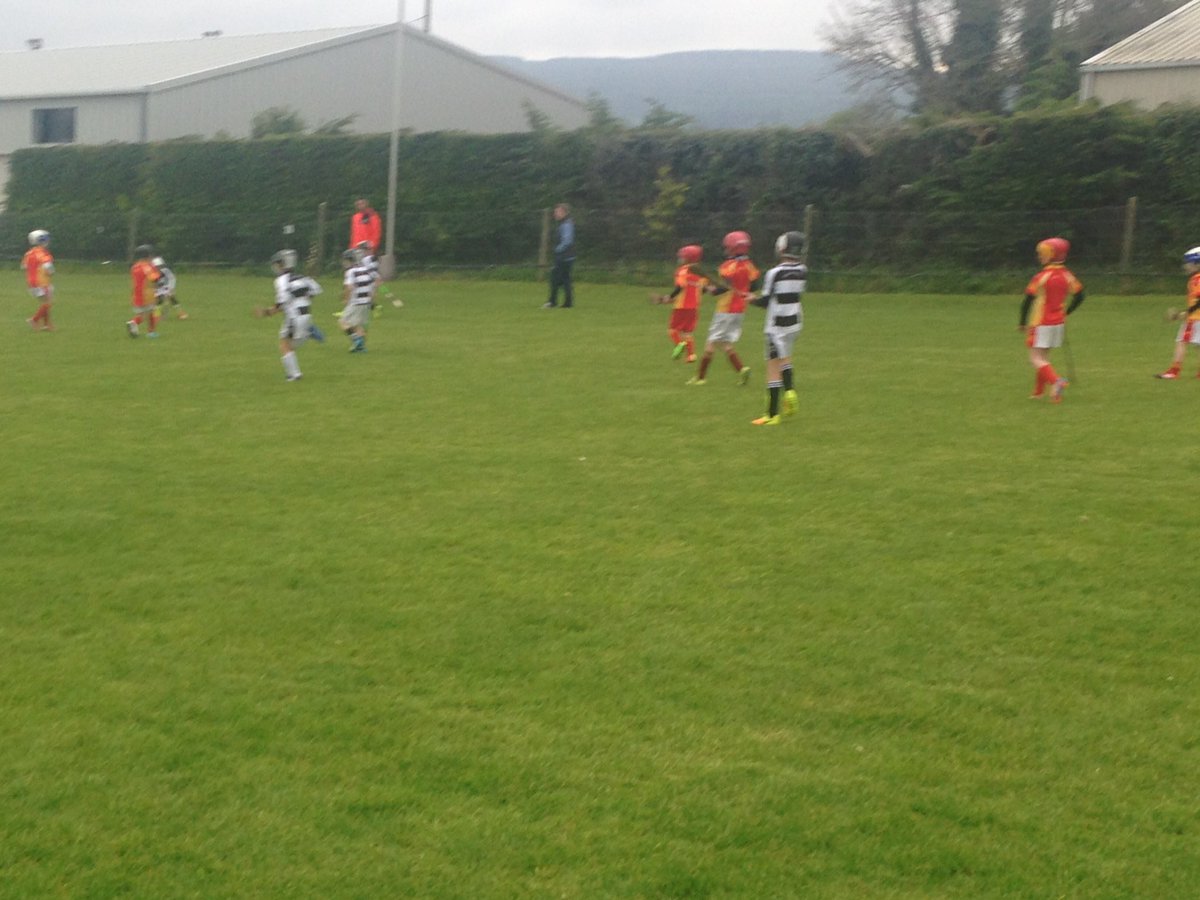CorkGDAPatSprat's tweet photo. Great #monsterblitz @BallyheaGAA today u8 hurling @AvondhuGAA @DuhallowGAA @CorkGAACoaching @RebelOg_ pitch immaculate thanks lads https://t.co/xxBsvjTQ8d