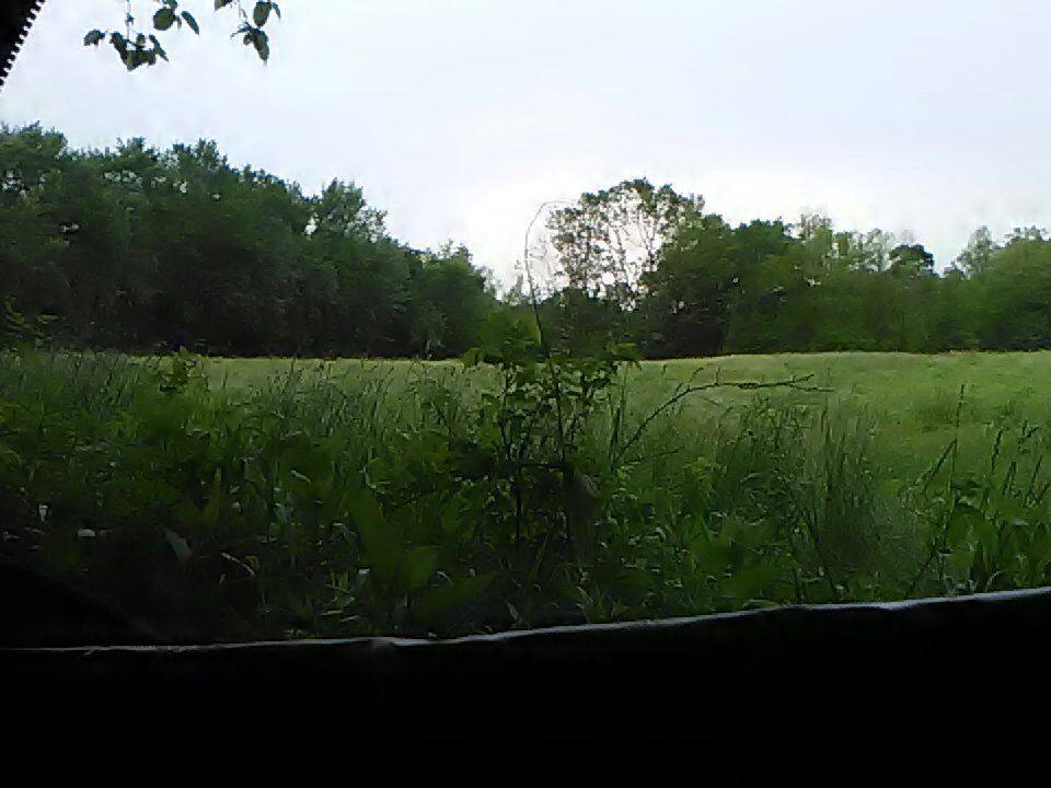 deertard's tweet photo. Another rainy but wonderful morning out here in gods grocery store ! Wish me luck ! #godsgrocerystore #turkeyhunting #kyboys #derby #oaks https://t.co/eoNnv1hC5P