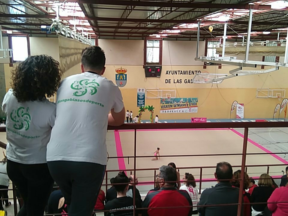 VoluntariosG's tweet photo. Voluntarios deportivos las Gabias con @RitmicaGabias https://t.co/p01r4BvJ1z