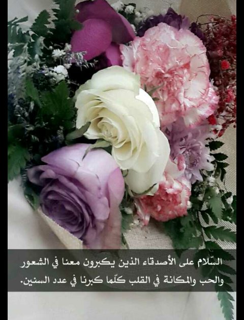 Rjggjfe1's tweet photo. #البنفسج_رتويت_تبادل
#عاليه_نجد_للدعم https://t.co/Zy0f6TkR4V