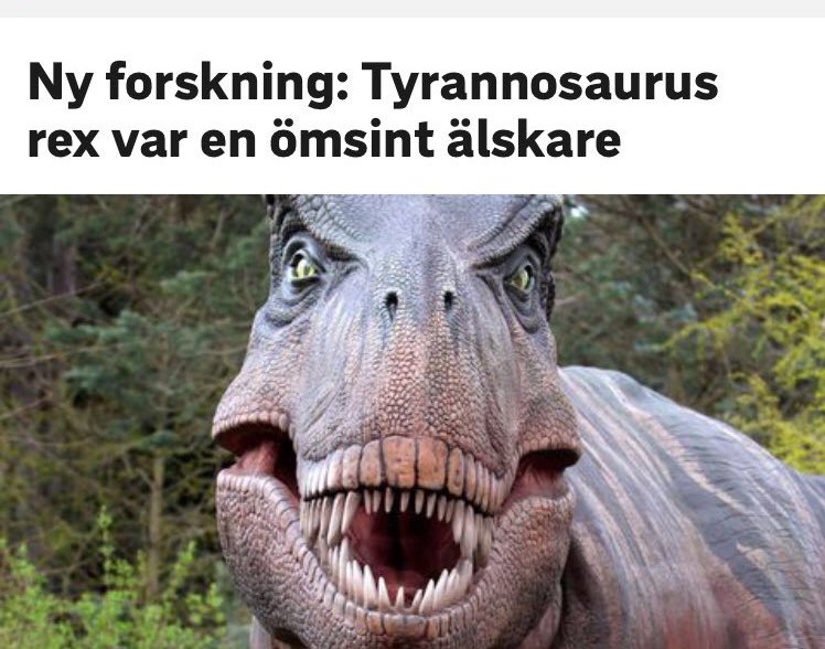 DrEmmaFrans's tweet photo. När man förtränger en snubbes negativa egenskaper och bara minns de positiva https://t.co/CeKMp8ovfn