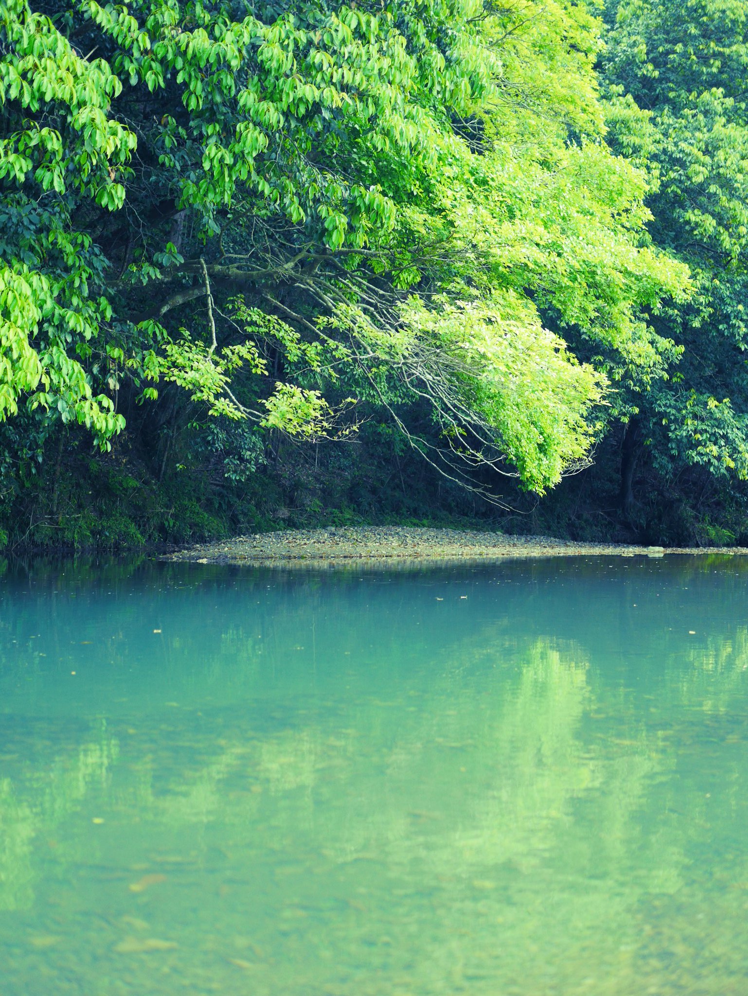 やまぐち 編集ライター 青と緑が幾層にも連なる 静岡県森町 アクティ森 川遊び Riverside T Co Pozw5ksu4m Twitter