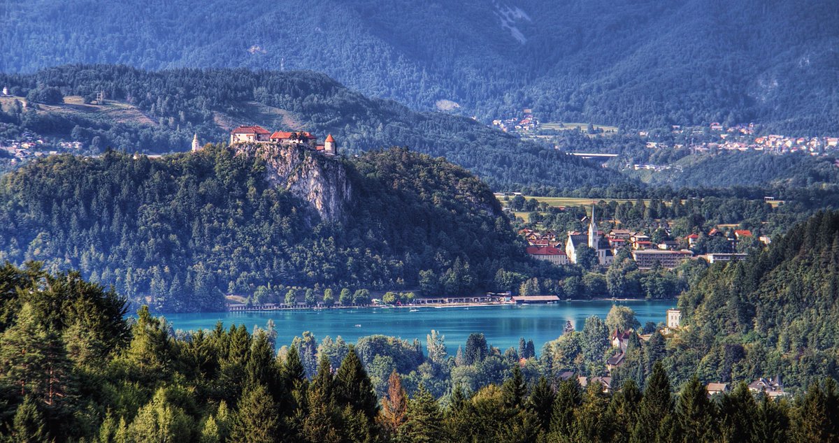 Tatjana Prelog 🇸🇮 🏴󠁧󠁢󠁷󠁬󠁳󠁿 🌞🏉 tweet media