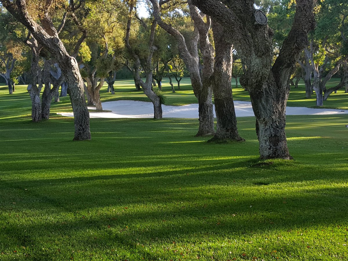 AgronomyRCV's tweet photo. #RealClub #Valderrama. Nice day to keep working. Perfect condition to enjoy playing #golf. @EuropeanTour @GCSAA @PGATOUR @USGA #Sotogrande https://t.co/5Vh6R6BnIH