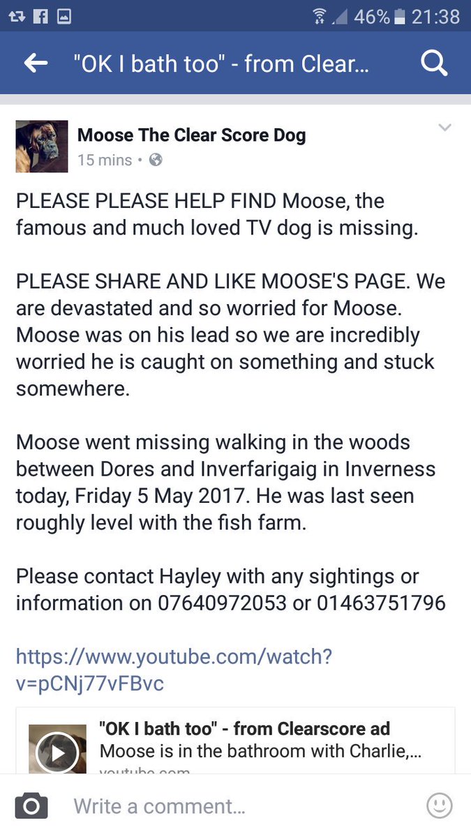 Welshy_broad's tweet photo. Hope they find him today..bless his heart #Findmoose #Inverness please RT https://t.co/2XILUcwidL