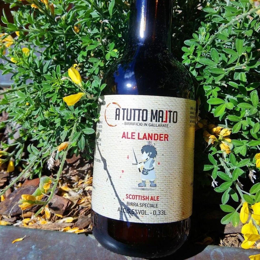 Ale Lander del birrificio artigianale <a href="/atuttomalto/">A Tutto Malto</a> @birrificioatuttomalto di Gallarate (VA) #birraiolo ift.tt/2pLS1La