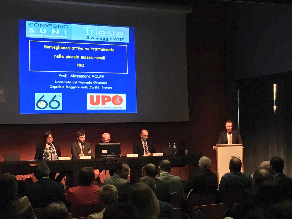 Nicp85Pavan's tweet photo. Surveillance vs treatment in  #smallRCC thanks to @foxal72 and @FicarraVincenzo at #suni2017 #trieste https://t.co/qOa887mKAH