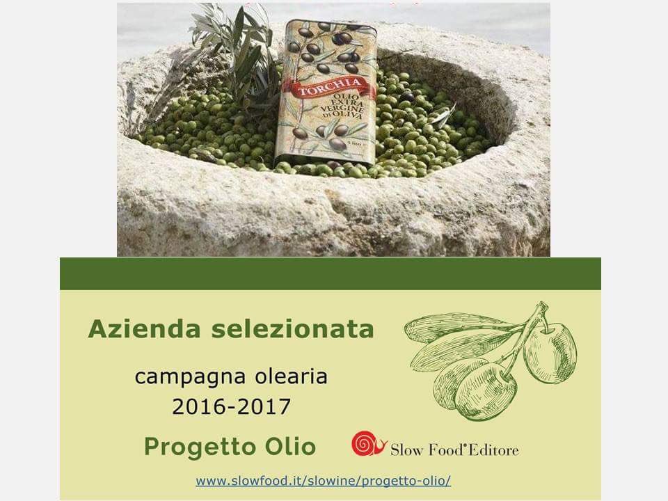 OlioTorchia's tweet photo. #olio extravergine#slowfood#progettoolio#oleificiotorchia https://t.co/ma9GfLjc0w
