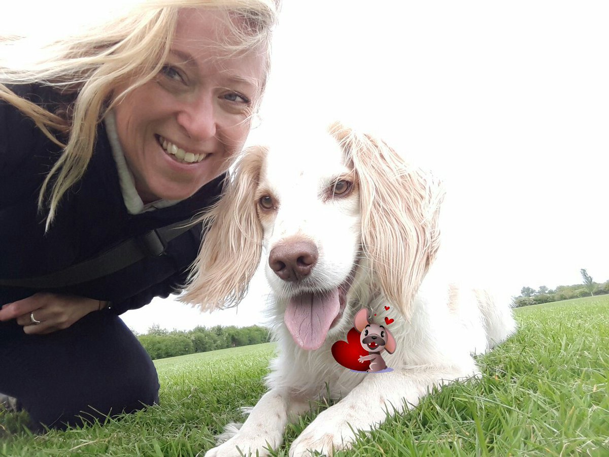 tailrunners's tweet photo. Some 1-2-1 time with my special boy.  Have a great weekend with your best friend for life #lovemelovemydog #itsaspanielthing #dieselpower https://t.co/4v0Qc5LcaX