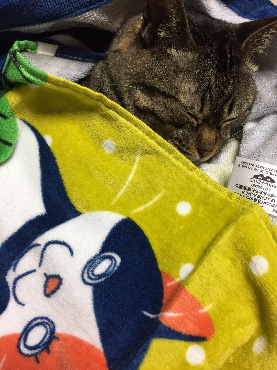 とびあ Tos Tov1a Twitter