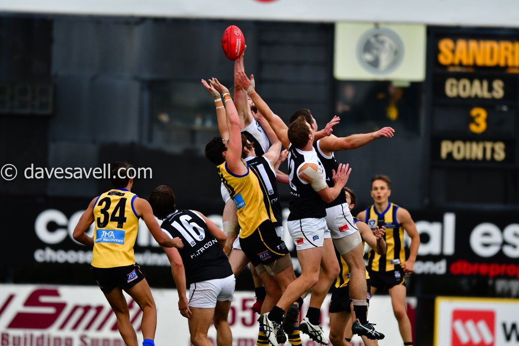 Dave Savell tweet media