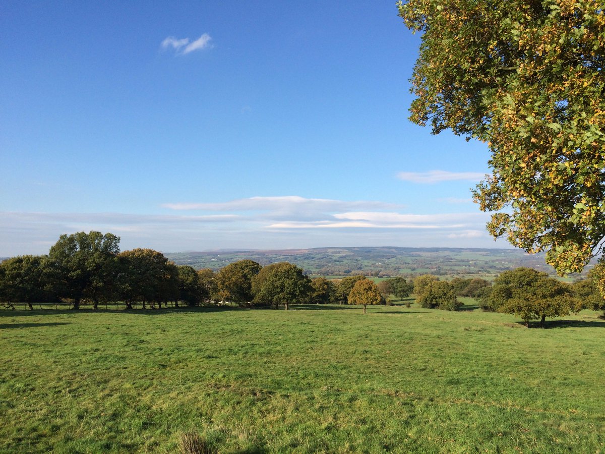 Ian Ferris tweet media