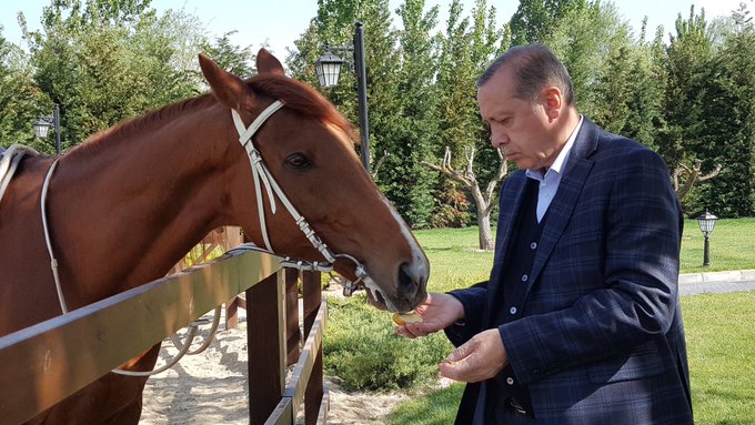 Resmi Twitter'da görüntüle Resmi Twitter'da görüntüle