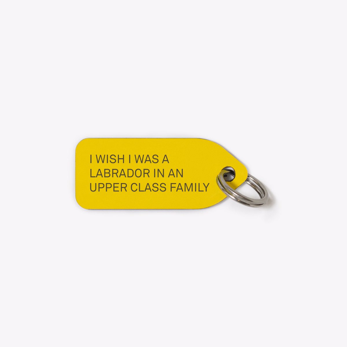 GrowleesDogTags's tweet photo. Paws up if you'd kill to be one of those #jetsetpets #iwishiwasalabradorinanupperclassfamily #dogtags #doggifts #growlees https://t.co/CeQeEYca5i