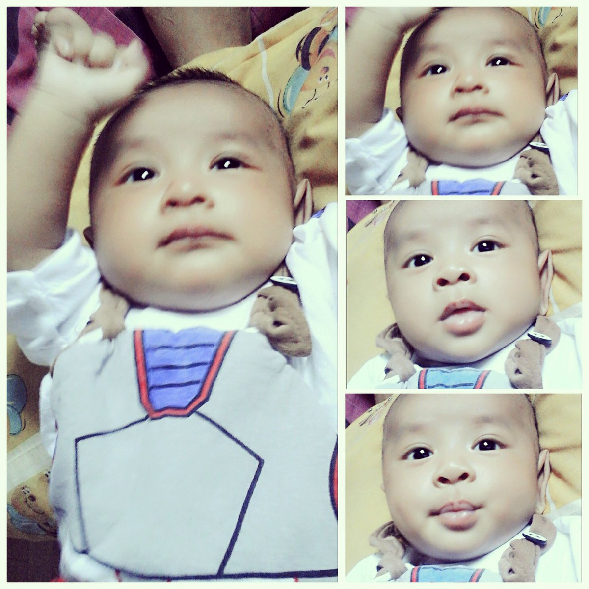 minieanton's tweet photo. My boy https://t.co/MeXxKs6pgu