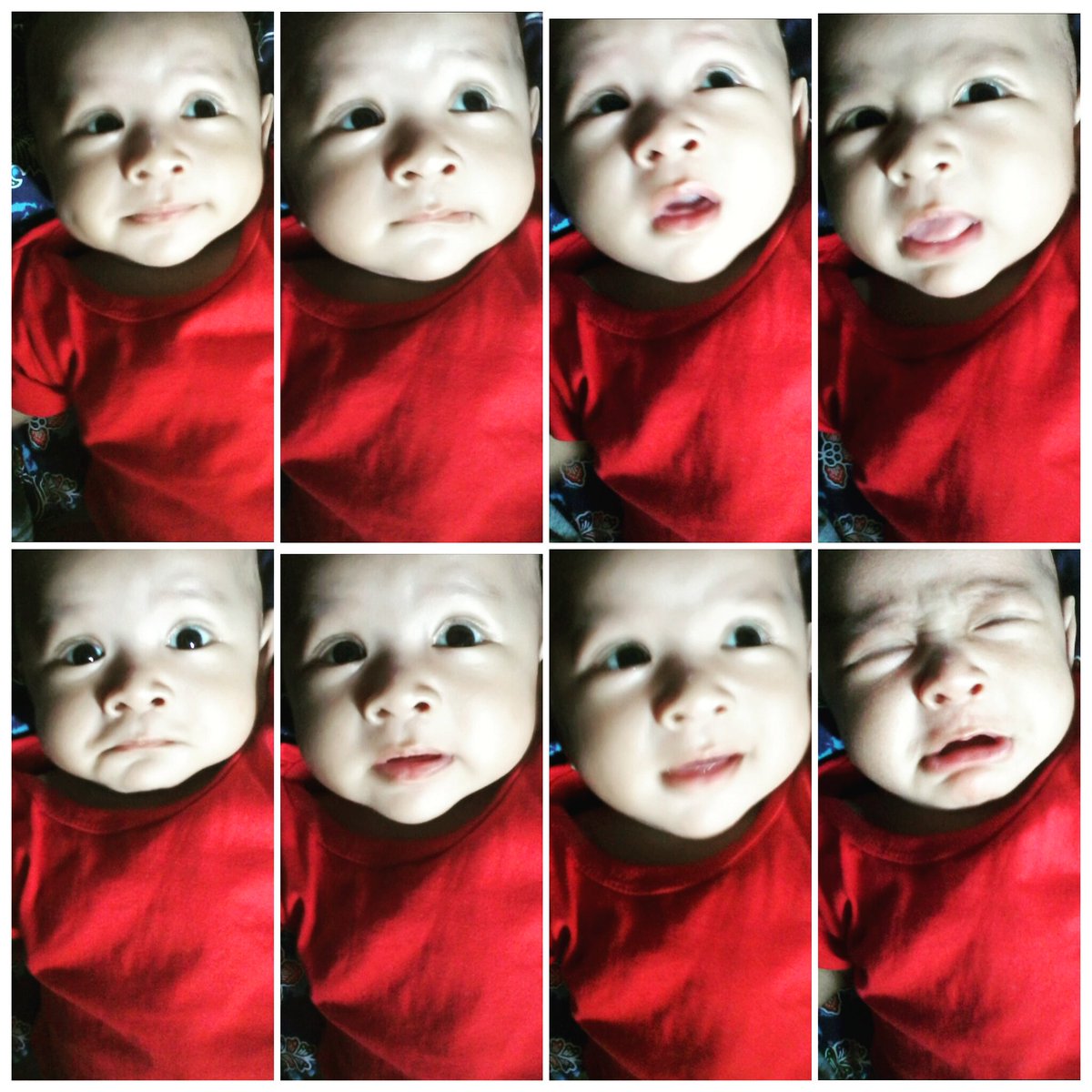 minieanton's tweet photo. 😘 https://t.co/rjOIPaj6dc