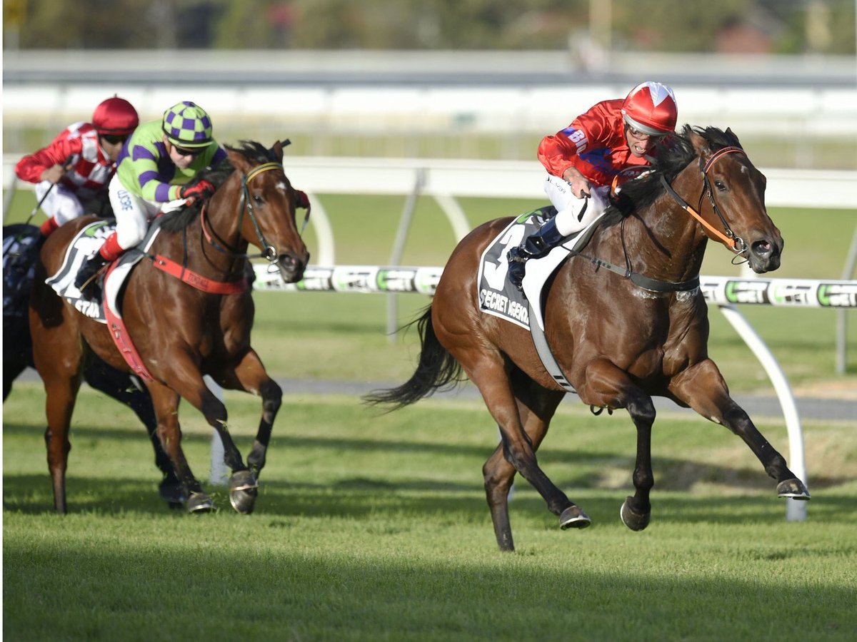 Price Kent Racing tweet media