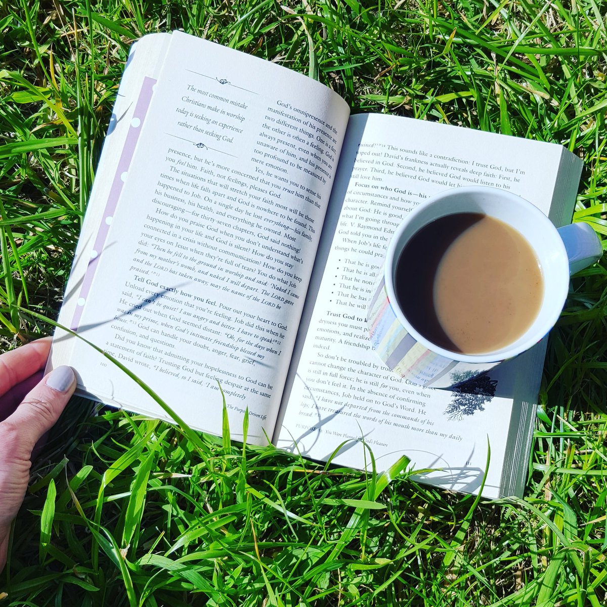 dancerlinz111's tweet photo. Always my #GoToBook... #PurposeDrivenLife https://t.co/SzK7lDxfdu