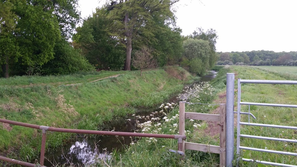 CASayles's tweet photo. @Womensrunninguk #wrchallenge time to try out a new trail! https://t.co/kdnMrHcYIi