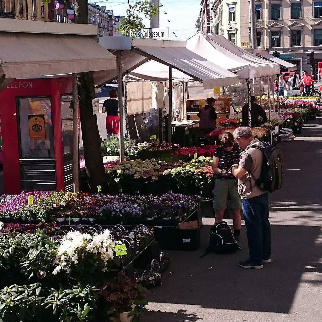 m4riannelee's tweet photo. Out shopping for flowers 💐 #Bogstadveien #markedsdag https://t.co/D1fELi7e6j