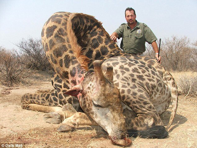 Why?? What on earth did this beautiful gentle creature ever do to justify doing this?? RT if u want this banned!