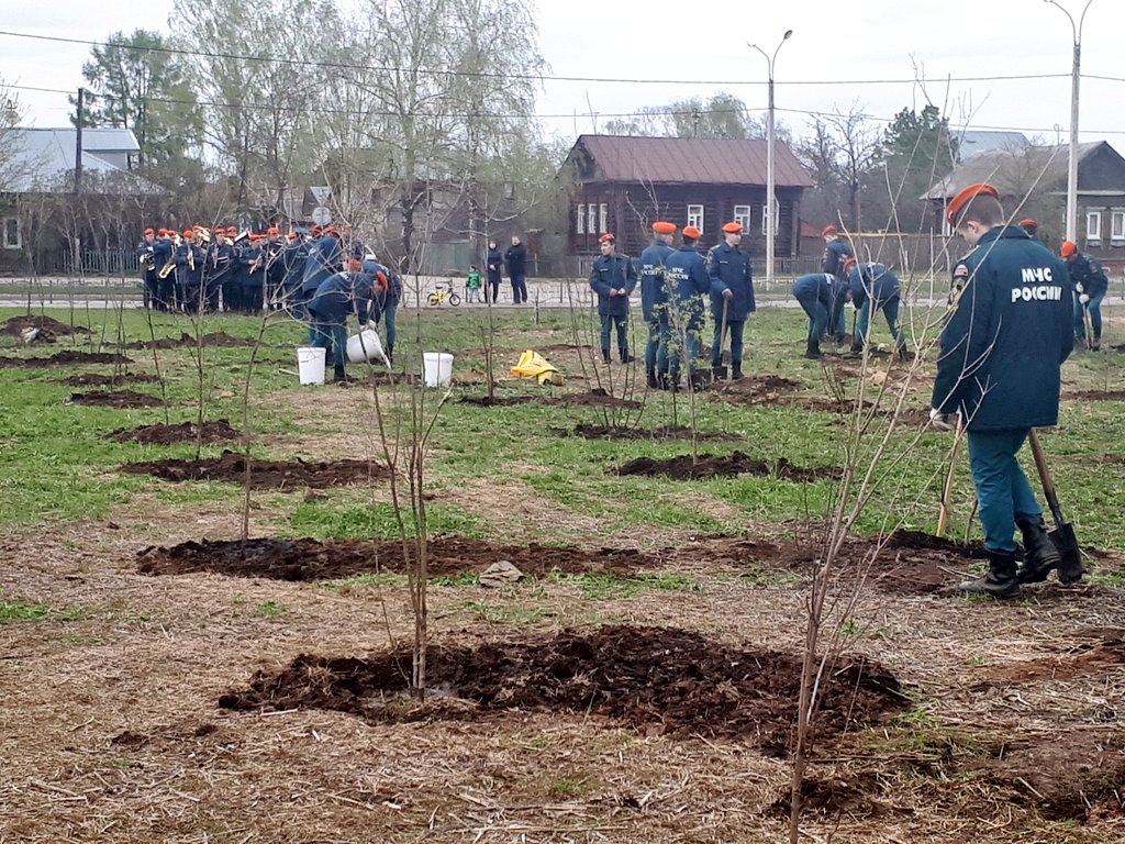 Более 400 человек помогают высаживать деревья по акции ЭкоПлана в честь Дня Победы в Иванове. Спасибо всем, отдельное спасибо академии МЧС