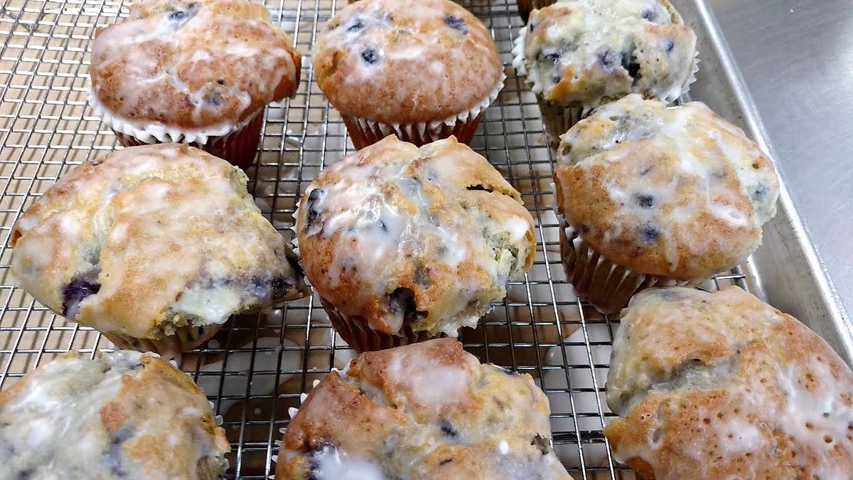 BBFarmMarket's tweet photo. Will be @Tulip_Time Art &amp; Craft fair with blueberry donuts, muffins, cinnamon bread today @ 10am  #tuliptime #bowermanfarm  #discoverholland https://t.co/rdJVLCASvV