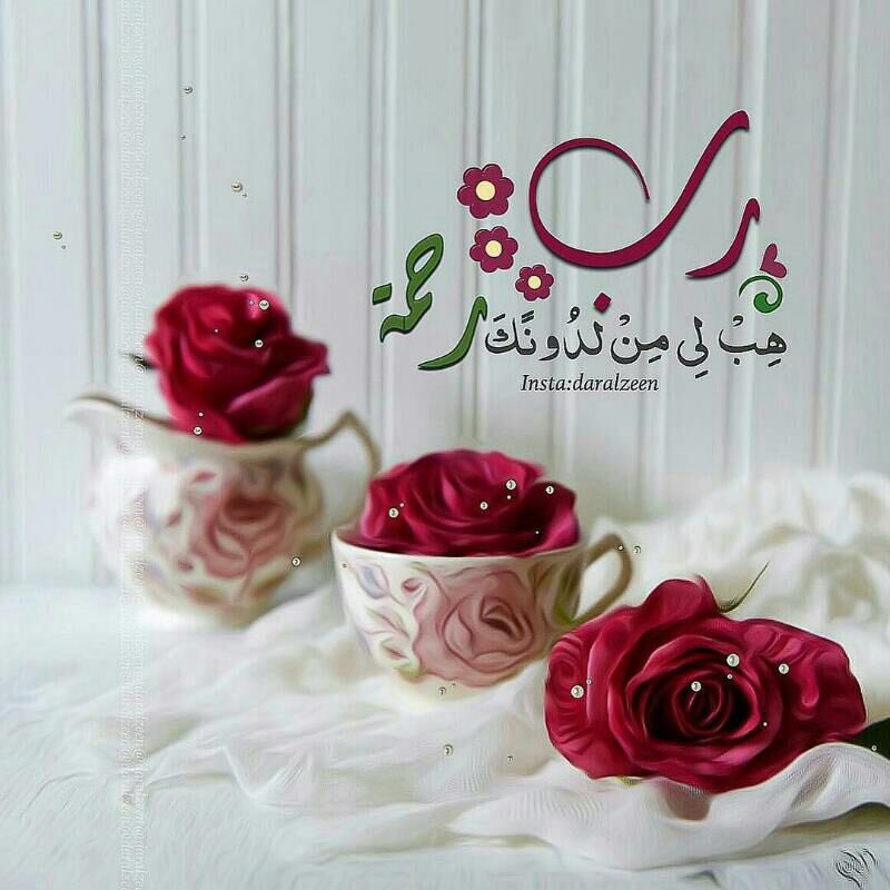 alrogi45751's tweet photo. ياصباح الخير والشي الكثير
أمنيه تسبق تـلاوتها دعاء
رددوا يارب يسّر كل عسير
واتركوها... https://t.co/OFfAR7Z56z by #h_kaydeh via @c0nvey https://t.co/CkHikIFgWO