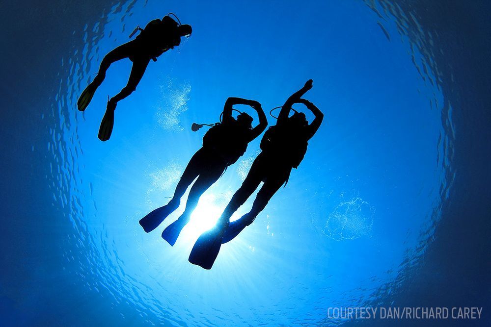 ScubaChoice's tweet photo. Ask The Experts: What If I Run Out Of Air? via https://t.co/yDpI6Motvy https://t.co/mS28AjbS9s #scuba #diving #divingtips #divertips #gear https://t.co/yVJMPuSWKU
