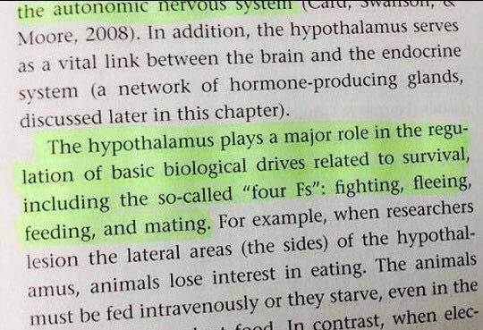 LionelArchuleta's tweet photo. When studying the brain almost gets real.
#TheFourFs #Studying #Trauma via Facebook https://t.co/RhJiYxj9yH https://t.co/QZL9lWaDLZ
