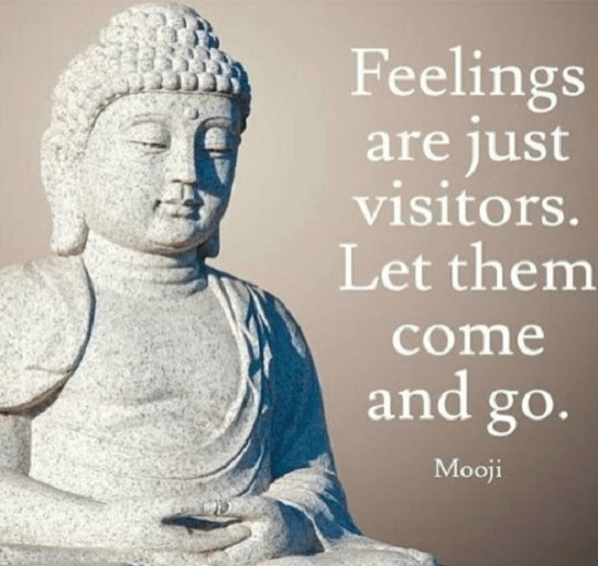 "Feelings are just visitors, let them come and go." #Mooji #feeling #visitors
