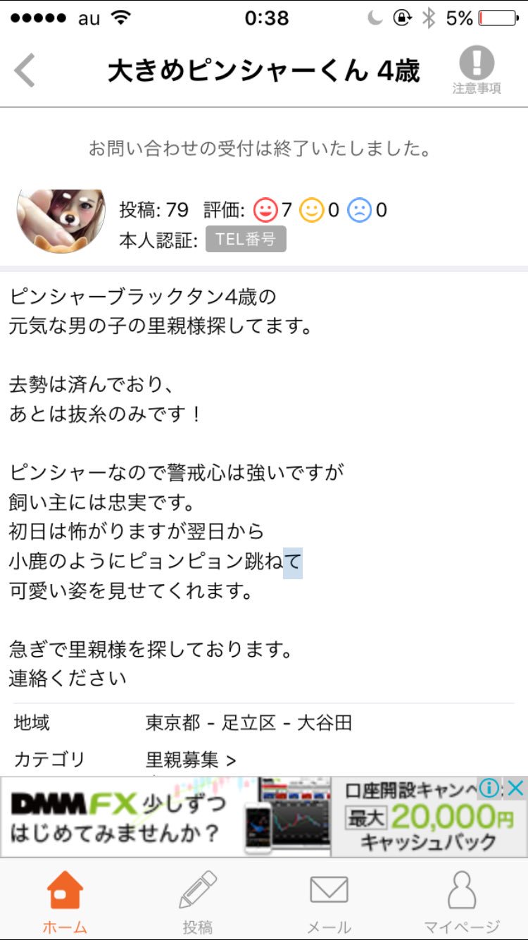 ルル ジモティーの里親募集ってほんとに酷い人しかいなくてびっくりするんだけど 猫アレルギーで里親 募集してるのにその後猫譲ってくださいとか 犬の里親募集してるのにその後犬譲ってくださいとか 本当にペットをアクセサリー感覚でしか思ってないのかな