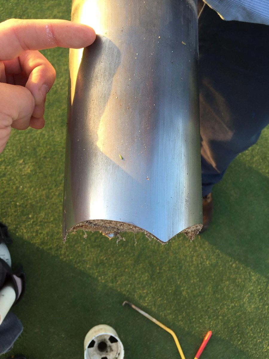 StuartWiseley's tweet image. I see you little guys poking through #rootlife