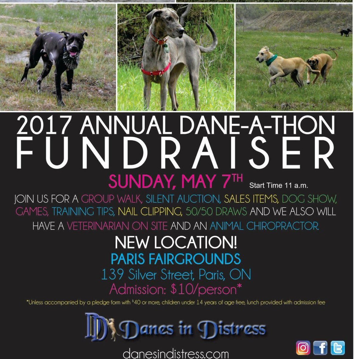 DanesInDistress's tweet photo. The sun is showing up to our Dane-A-Thon tomorrow &amp; all the cool kids are coming! 😎
139 Silver St. Paris, ON @ 11am. https://t.co/9yLZbuE50A