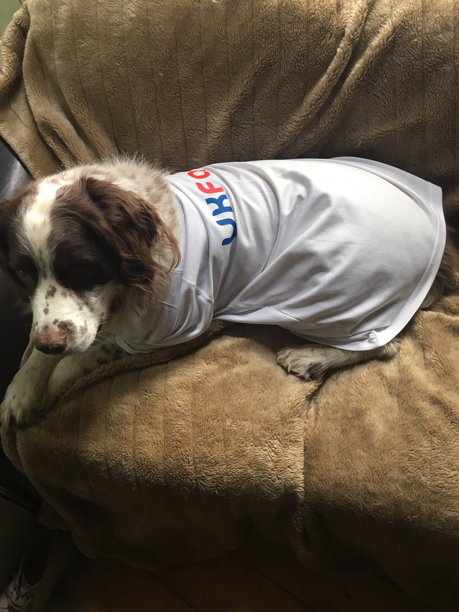 sunflowerwise's tweet photo. @manchester10k @salford10k @UKFast he's a model and he's looking good https://t.co/dzJJxSmgm1