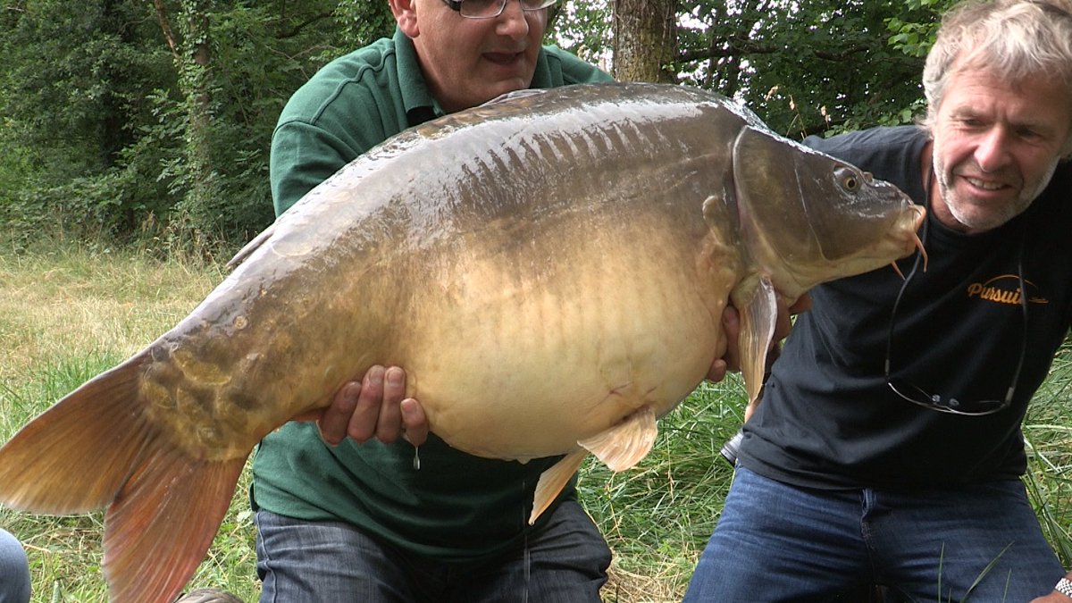 Big carp action in Episode 2 of Pursuit, Sunday at 9am on <a href="/QuestTV/">Quest</a> <a href="/JohnBailey_MrC/">John Bailey</a>  #bigfish
