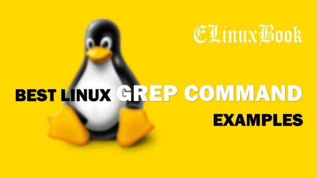 itechnologysoln's tweet photo. https://t.co/4HNC55XMPl

BEST #LINUX #GREP #COMMAND EXAMPLES

#redhat #rhel #grepcommand https://t.co/e09heSabUe